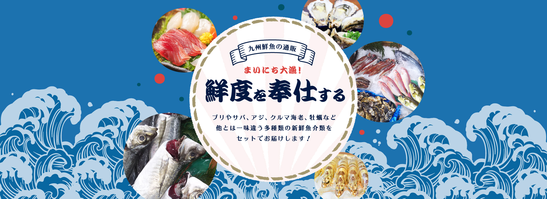 ブリやサバ、アジ、クルマ海老、牡蠣など他とは一味違う多種類の新鮮魚介類をセットでお届けします！